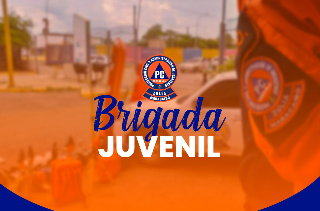 Brigada Juvenil