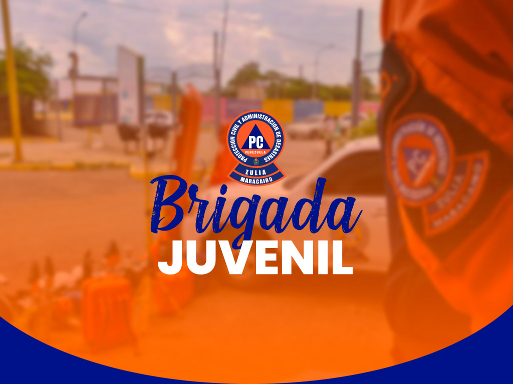 Brigada Juvenil