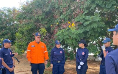 La Brigada Juvenil de Protección Civil Maracaibo realizó plogging en las orillas del lago.